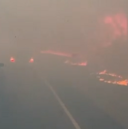 Vídeo mostra incêndio florestal a crescer rapidamente numa autoestrada em Nova Orleães  