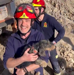 Cadela persegue coelho e acaba presa em toca. Bombeiros de Madrid demoram seis hora a resgatar o animal