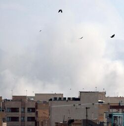 Luís Montenegro divulga comunicado onde apela à 'máxima contenção', condenando os ataques do Irão