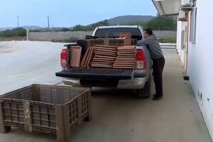 Vive-se uma onda de solidariedade para ajudar famílias afetadas pelo mau tempo