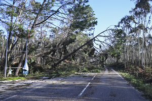 Proteção Civil alerta para gravidade nas próximas horas e aconselha precauções