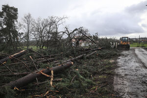 Mau tempo causa quedas de árvores e inundações, proteção civil atua