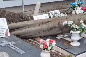 Queda de árvores destrói cemitério de Alverca do Ribatejo. Funcionários e populares preocupados