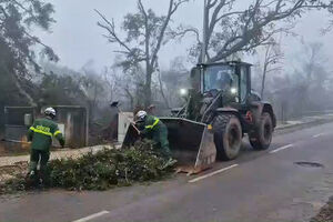Militares limpam ruas em Alvaiázere. Mau tempo deixou várias estradas interditas  