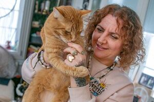 Na Alemanha há um gato na mira das autoridades por… miar demais