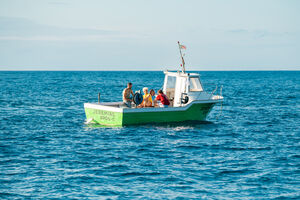 A história do desembarque de droga nos Açores, em 2001, ainda tem sumo para mais episódios