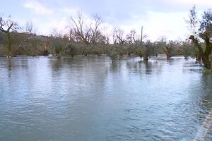 Apoio a 36 adultos e 30 crianças de Camarate após mau tempo