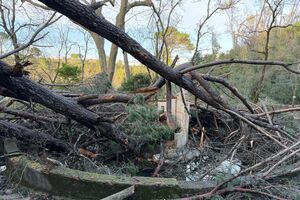 Tempestade Kristin causa estragos em Tomar e exige meses de recuperação