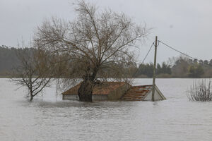Cheias em Coimbra causam destruição e deixam casas submersas