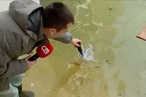 Jornalista mostra casas e espaços exteriores completamente inundados em Coimbra 