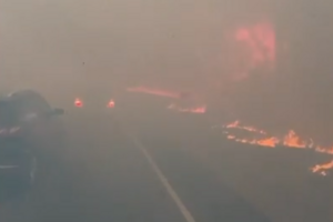 Vídeo mostra incêndio florestal a crescer rapidamente numa autoestrada em Nova Orleães  