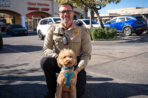 Um final feliz! Cão abandonado no aeroporto de Las Vegas encontra uma nova família
