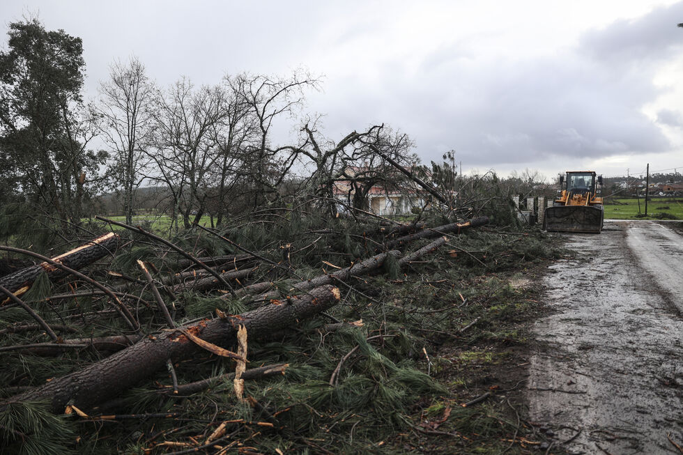 Mau tempo causa quedas de árvores e inundações, proteção civil atua