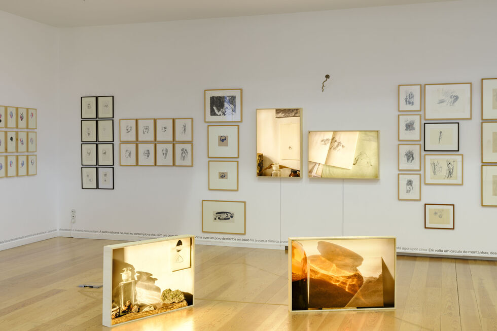 Húmus decorre no Museu Júlio Pomar no ano do centenário do nascimento do artista