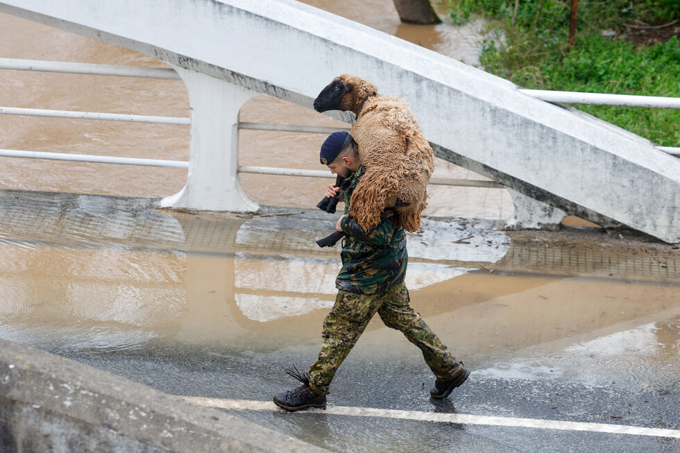 Um militar resgata uma ovelha na zona que ficou submersa pela subida da água do Rio Lis devido ao mau tempo, em Leiria
