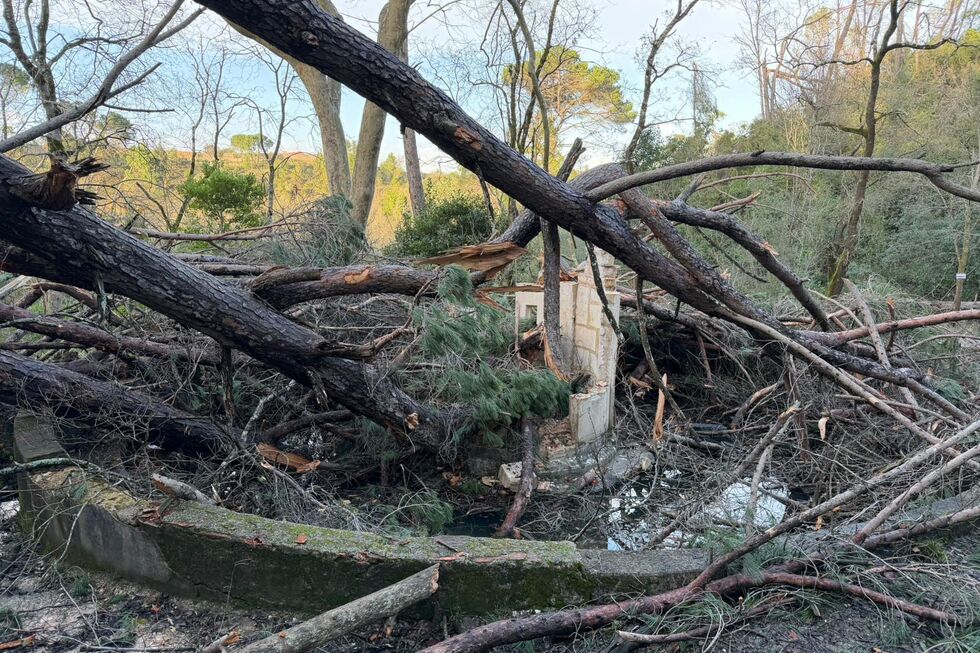 Tempestade Kristin causa estragos em Tomar e exige meses de recuperação