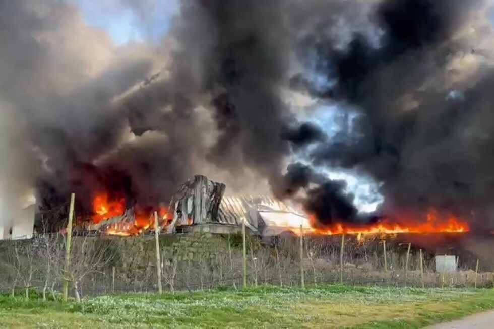 Incêndio em armazém de frutas em Óbidos mobiliza bombeiros e causa acidente