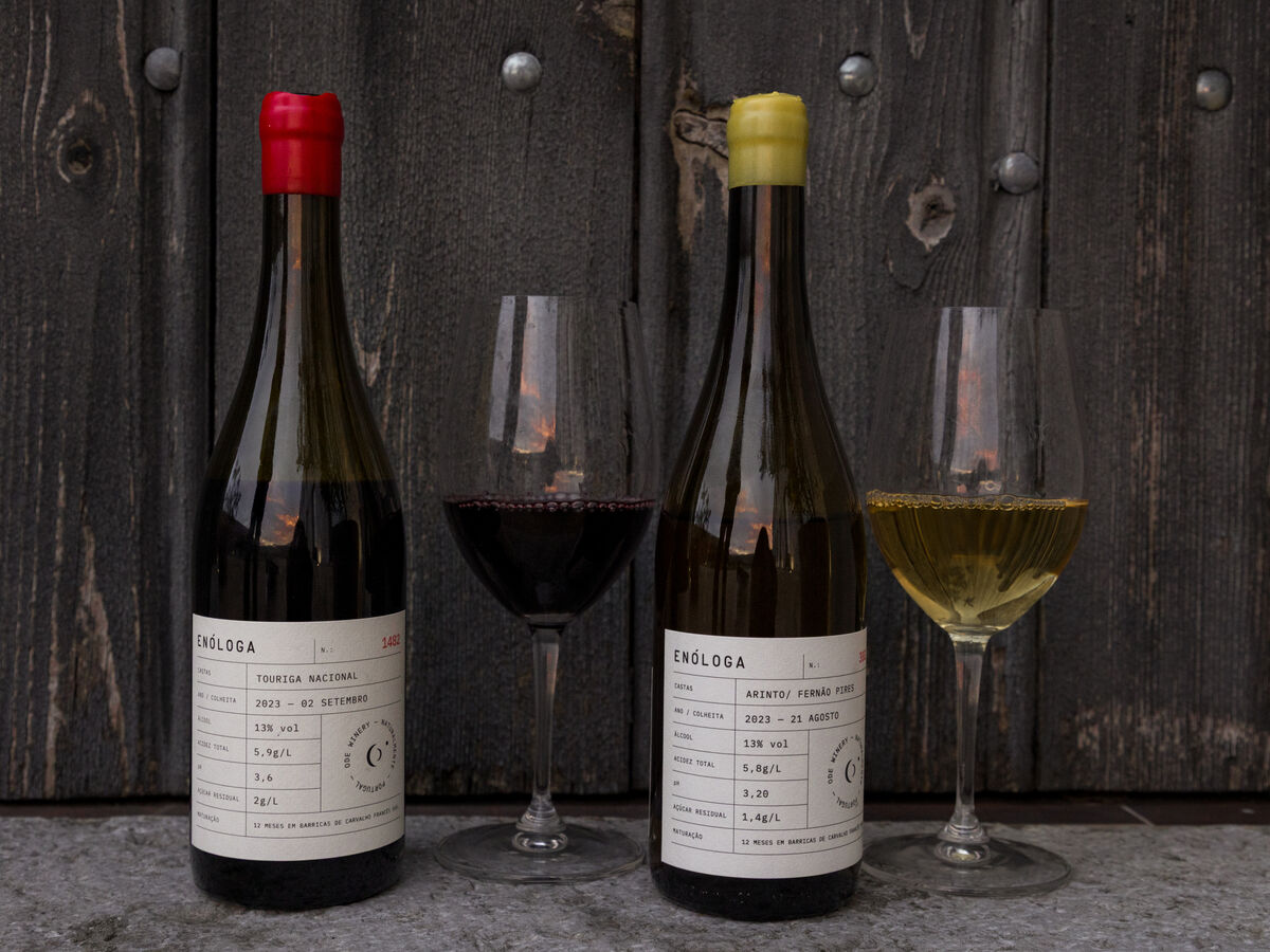 ODE Enóloga: o Tejo a querer ser mais