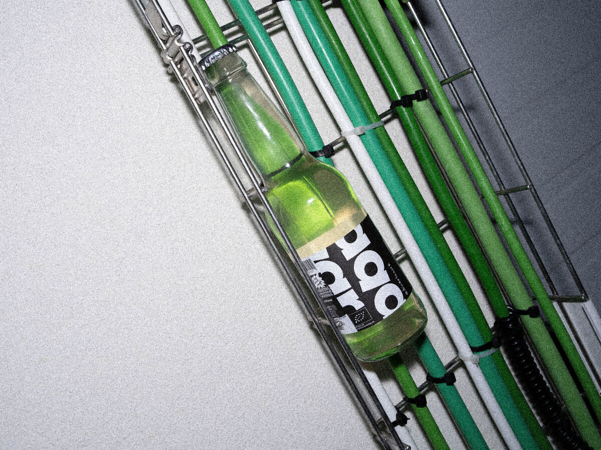 Provámos a nova ginger beer portuguesa, a Klaaark