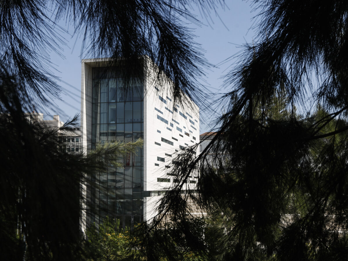 O desafio solitário que abriu uma crise na Universidade Nova de Lisboa