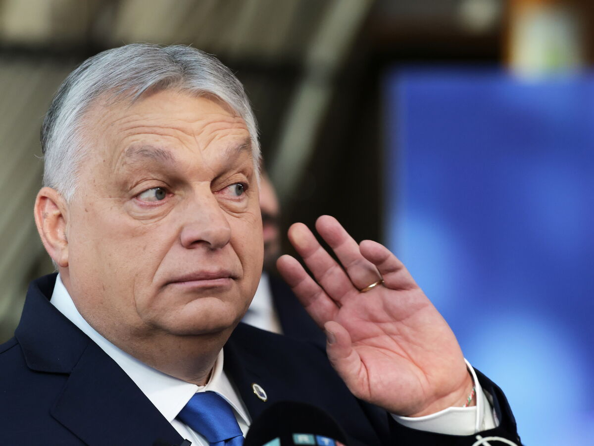 Amigos ricos, poder tremido: Os multimilionários criados e alimentados por Orbán