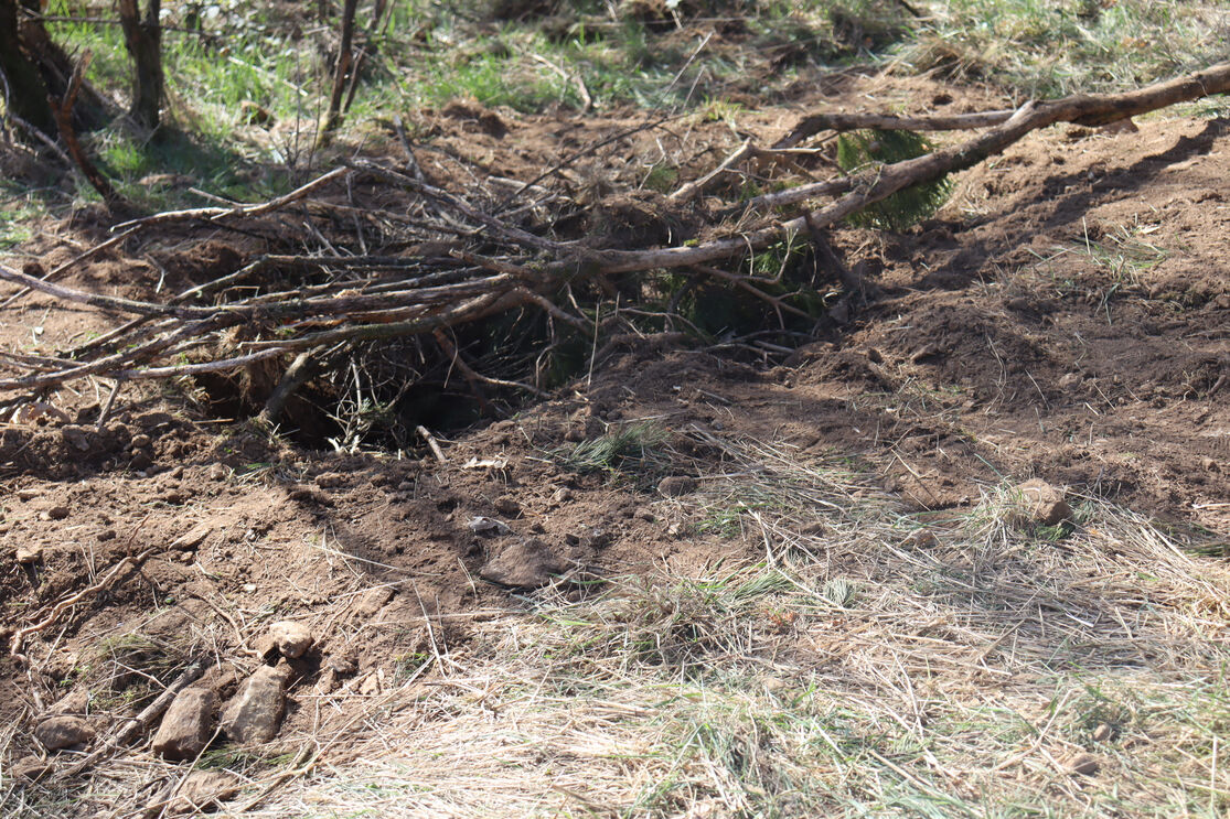 Polícia francesa investiga homicídios de mulheres em Bragança