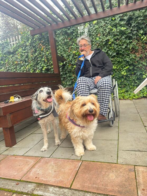 Nuno Markl regressa a casa após AVC e recebe carinho de animais