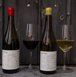 ODE Enóloga: o Tejo a querer ser mais