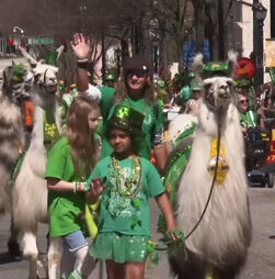 Atlanta celebra St. Patrick's Day com desfile nas ruas da cidade