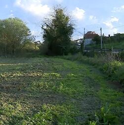 Incêndios: Proprietários têm até 30 de junho para limpar terrenos nos municípios abrangidos por calamidade