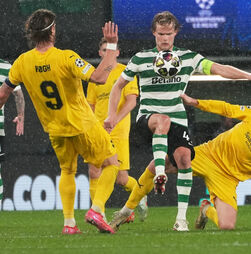 Chuva de golos em Alvalade: Sporting vence Bodo/Glimt e passa aos quartos de final da Liga dos Campeões