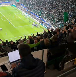 Tudo a saltar: jogadores e equipa técnica do Sporting invadem relvado com o golo de Rafael Nel