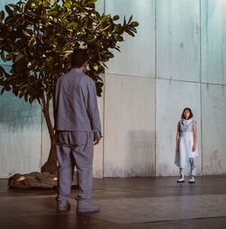 No palco do S. Luiz, há uma doença eterna chamada amor