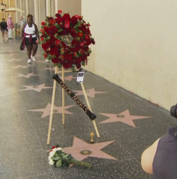 Chuck Norris homenageado por fãs na Calçada da Fama em Hollywood 