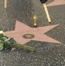 Hollywood cobre de flores estrela de Chuck Norris