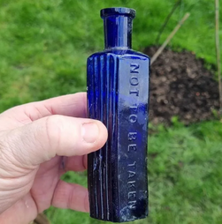 Super-herói canino: cão descobre frasco misterioso e pode ter ajudado a resolver crime com 160 anos