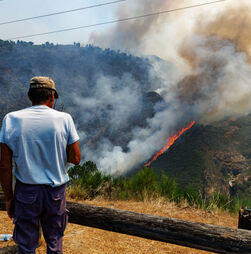 Mais de 100 operacionais combatem fogo no Parque Nacional da Peneda-Gerês