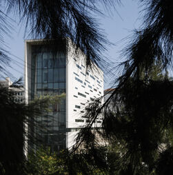 O desafio solitário que abriu uma crise na Universidade Nova de Lisboa