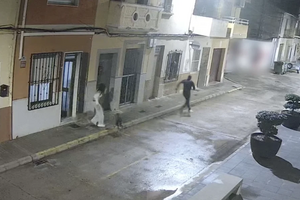 Espanha: Cão evita tentativa de rapto da tutora e torna-se um herói