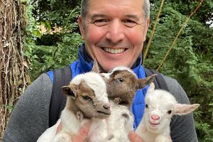 Que fofura! João Baião partilha vídeo a alimentar duas cabrinhas bebés