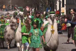 Atlanta celebra St. Patrick's Day com desfile nas ruas da cidade