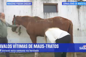 Repórter SÁBADO: Cavalos vítimas de maus tratos na herdade do Pessegueiro 