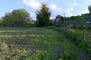 Terrenos terão de ser limpos até ao fim de junho