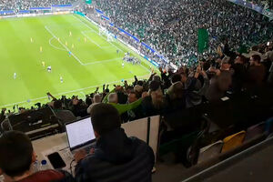 Tudo a saltar: jogadores e equipa técnica do Sporting invadem relvado com o golo de Rafael Nel