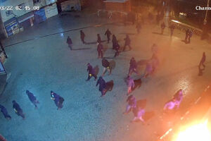 Imagens de videovigilância mostram colonos israelitas a destruir carros e a provocar incêndios na Cisjordânia