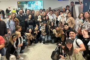 Voo especial salva dezenas de animais de estimação retidos no Médio Oriente