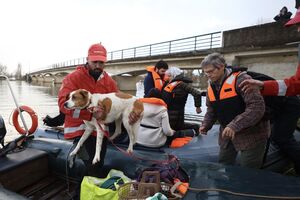 Transporte em Ereira, Montemor-o-Velho, localidade que ficou rodeada de água