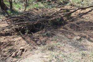 Polícia francesa investiga homicídios de mulheres em Bragança, após rapto em França por Cédric e descoberta de arma