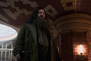 Nick Frost, como Rubeus Hagrid