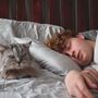 O seu gato costuma dormir consigo? Conheça as vantagens e desvantagens desta companhia noturna